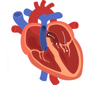 heart animated picture