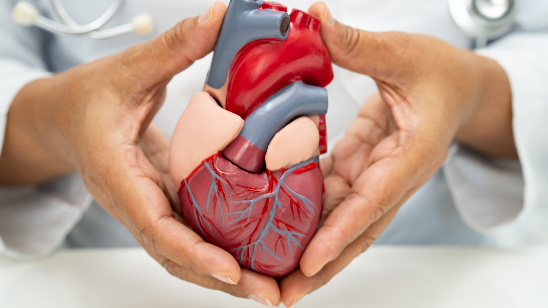 heart valve disease stock image copy