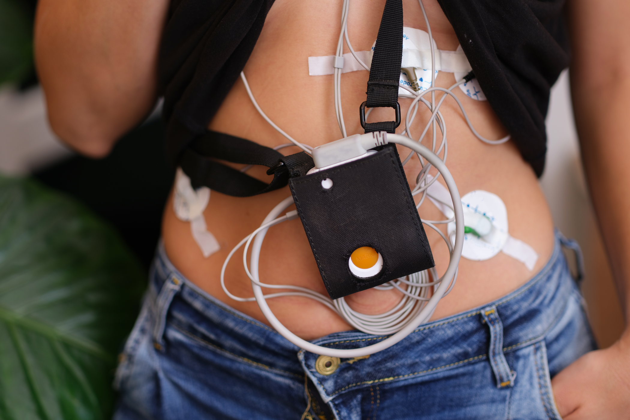 ecg holter monitor